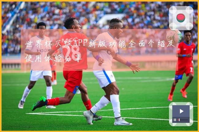 世界杯买球APP新版功能全面介绍及使用体验分享