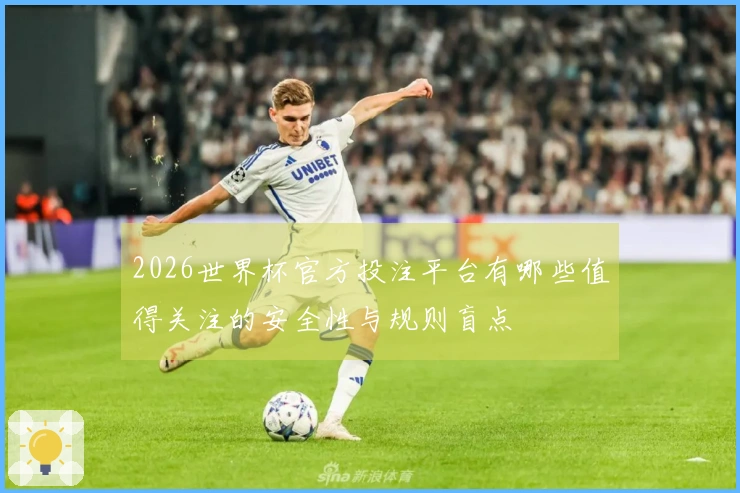 2026世界杯官方投注平台有哪些值得关注的安全性与规则盲点