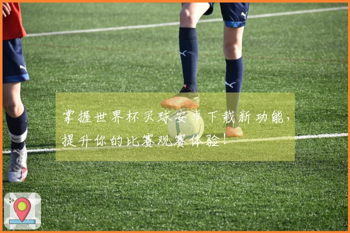 掌握世界杯买球安卓下载新功能，提升你的比赛观赛体验！