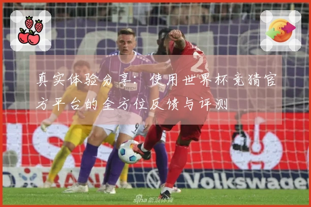 真实体验分享：使用世界杯竞猜官方平台的全方位反馈与评测