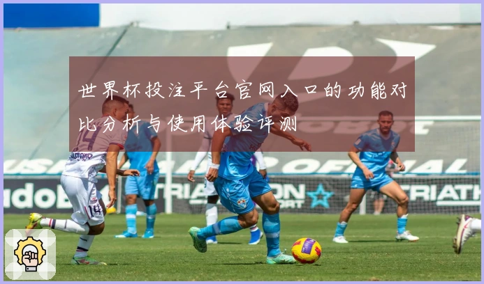 世界杯投注平台官网入口的功能对比分析与使用体验评测