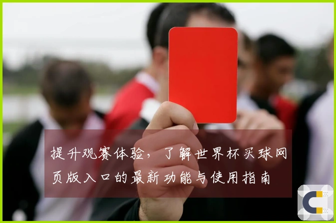 提升观赛体验，了解世界杯买球网页版入口的最新功能与使用指南