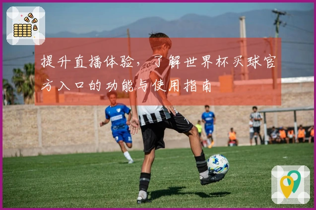 提升直播体验，了解世界杯买球官方入口的功能与使用指南