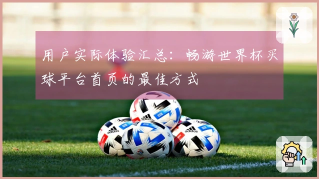 用户实际体验汇总：畅游世界杯买球平台首页的最佳方式