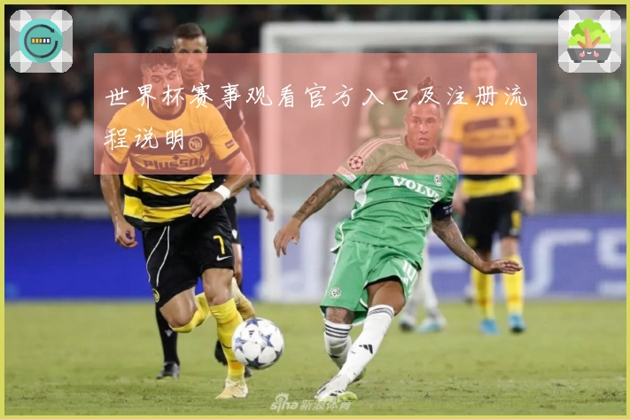 世界杯赛事观看官方入口及注册流程说明