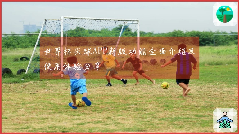 世界杯买球APP新版功能全面介绍及使用体验分享