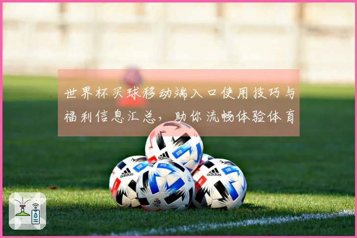 世界杯买球移动端入口使用技巧与福利信息汇总，助你流畅体验体育直播