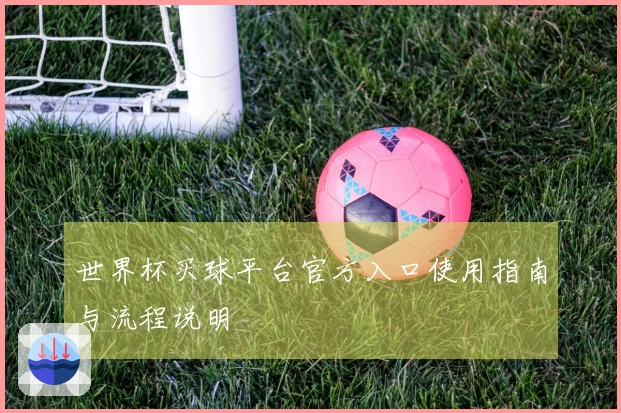 世界杯买球平台官方入口使用指南与流程说明
