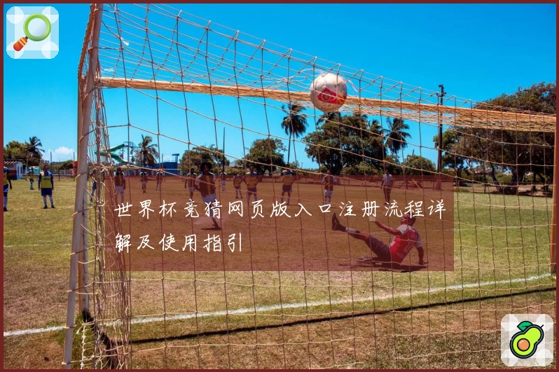 世界杯竞猜网页版入口注册流程详解及使用指引