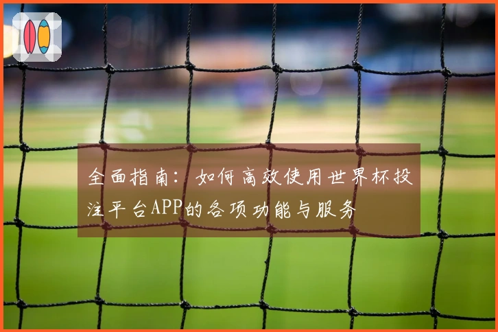 全面指南：如何高效使用世界杯投注平台APP的各项功能与服务