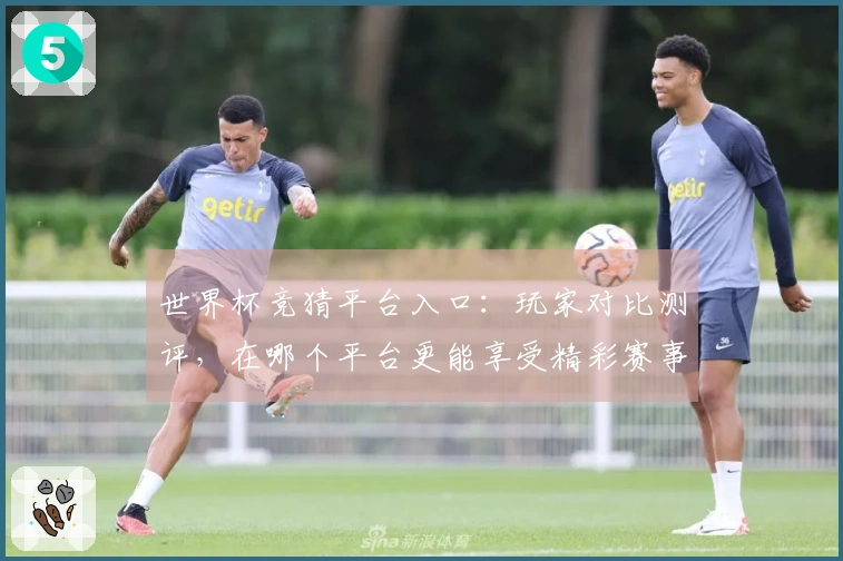 世界杯竞猜平台入口：玩家对比测评，在哪个平台更能享受精彩赛事？