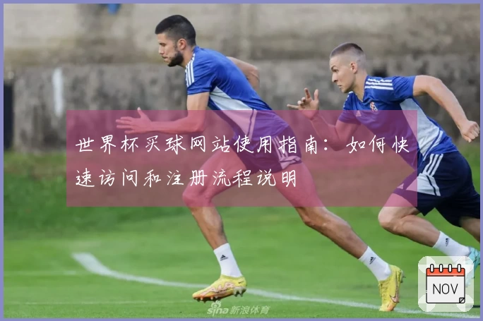 世界杯买球网站使用指南：如何快速访问和注册流程说明