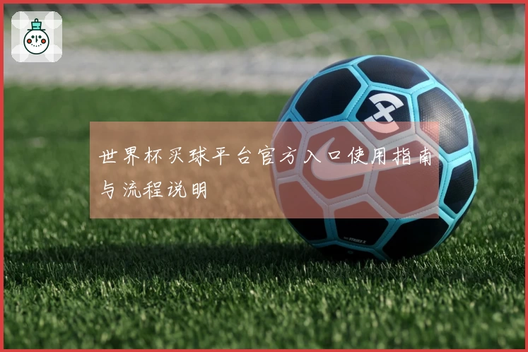 世界杯买球平台官方入口使用指南与流程说明