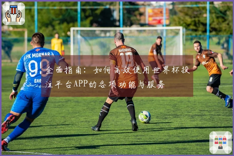 全面指南：如何高效使用世界杯投注平台APP的各项功能与服务