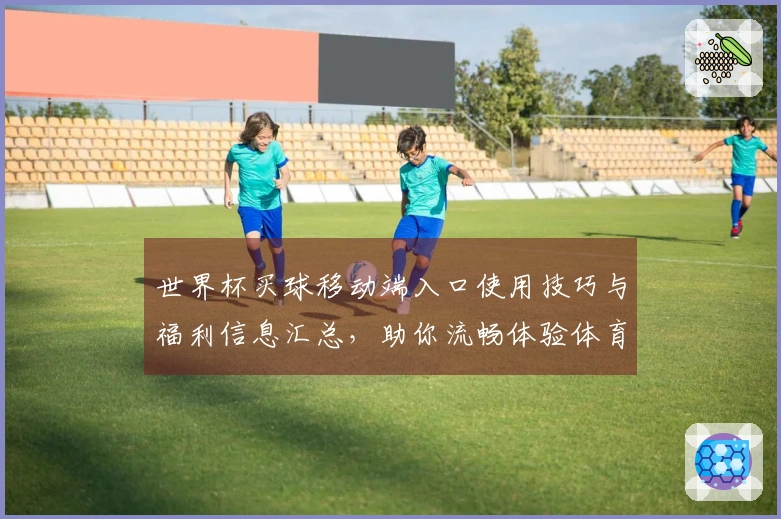 世界杯买球移动端入口使用技巧与福利信息汇总，助你流畅体验体育直播