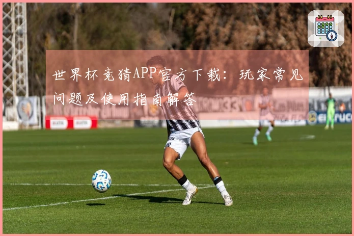 世界杯竞猜APP官方下载：玩家常见问题及使用指南解答