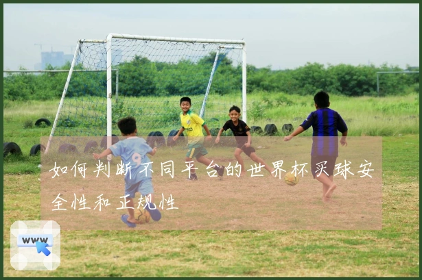 如何判断不同平台的世界杯买球安全性和正规性