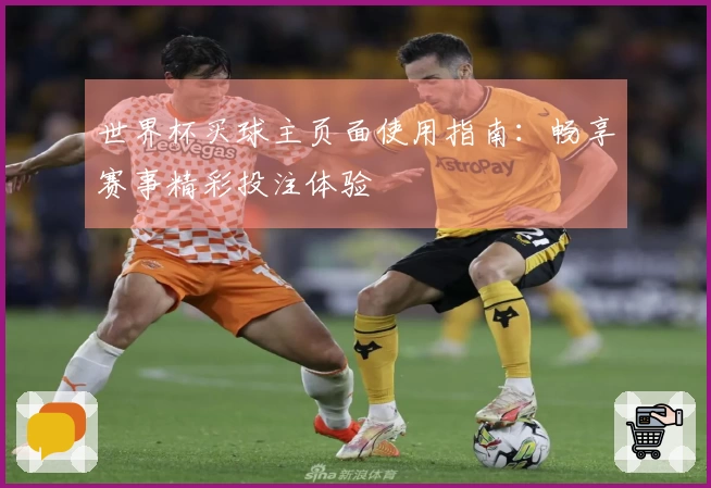 世界杯买球主页面使用指南：畅享赛事精彩投注体验