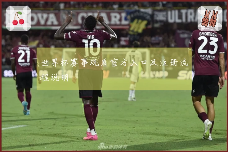 世界杯赛事观看官方入口及注册流程说明
