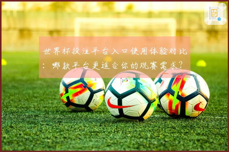 世界杯投注平台入口使用体验对比：哪款平台更适合你的观赛需求？